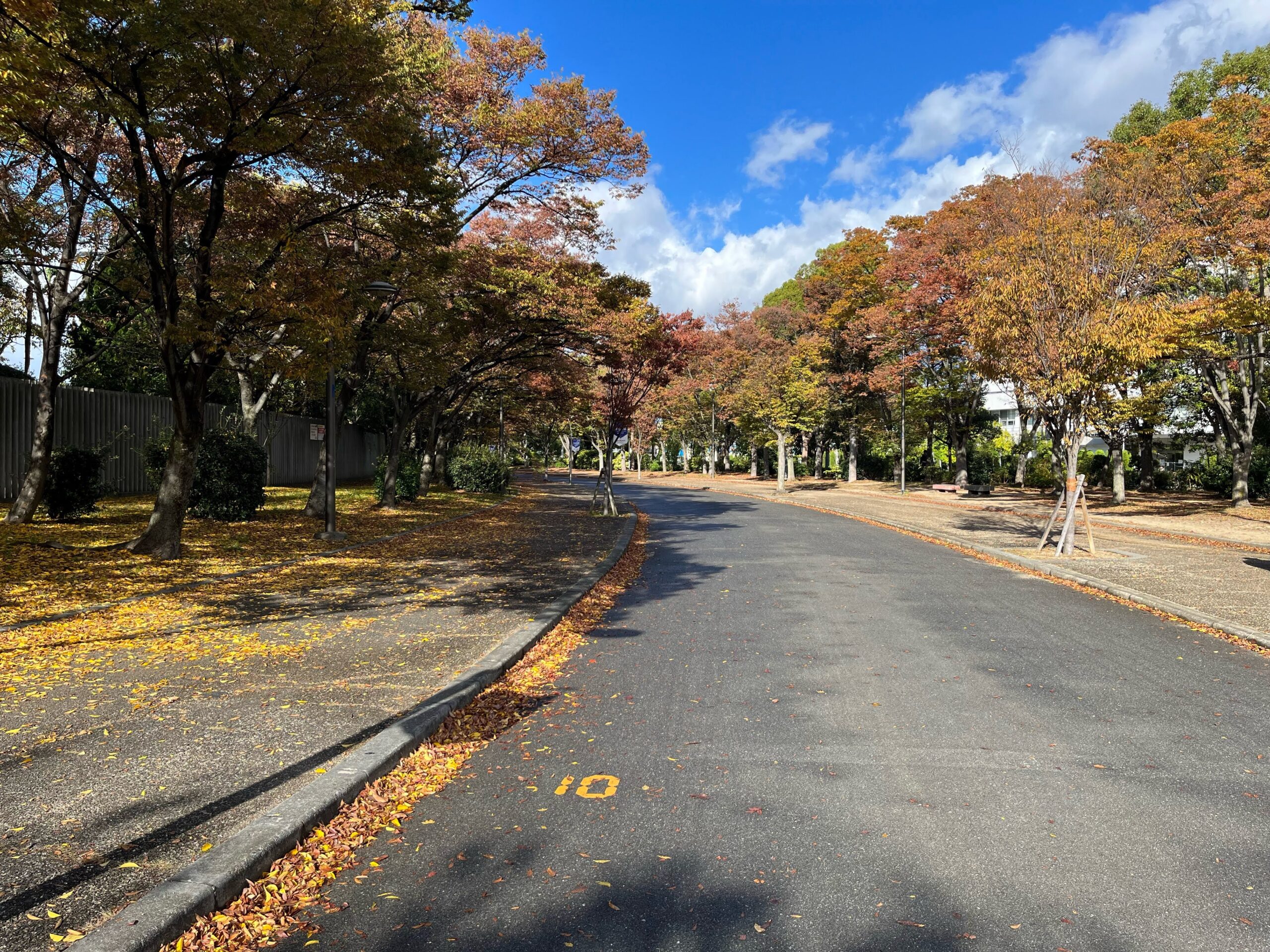 大阪 長居公園 - ランニングコース
