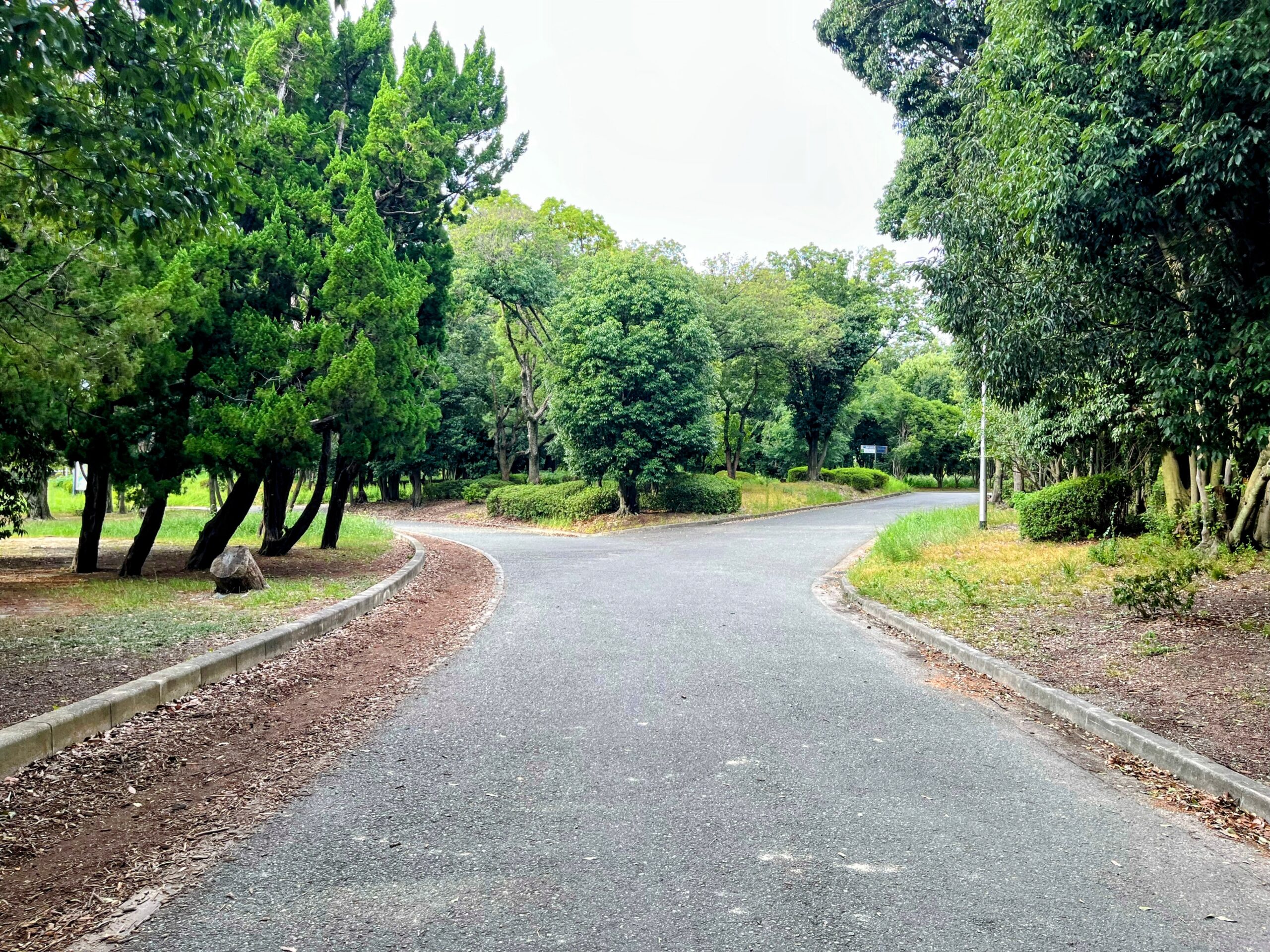 大阪 服部緑地