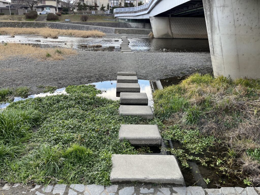 西賀茂橋の飛び石